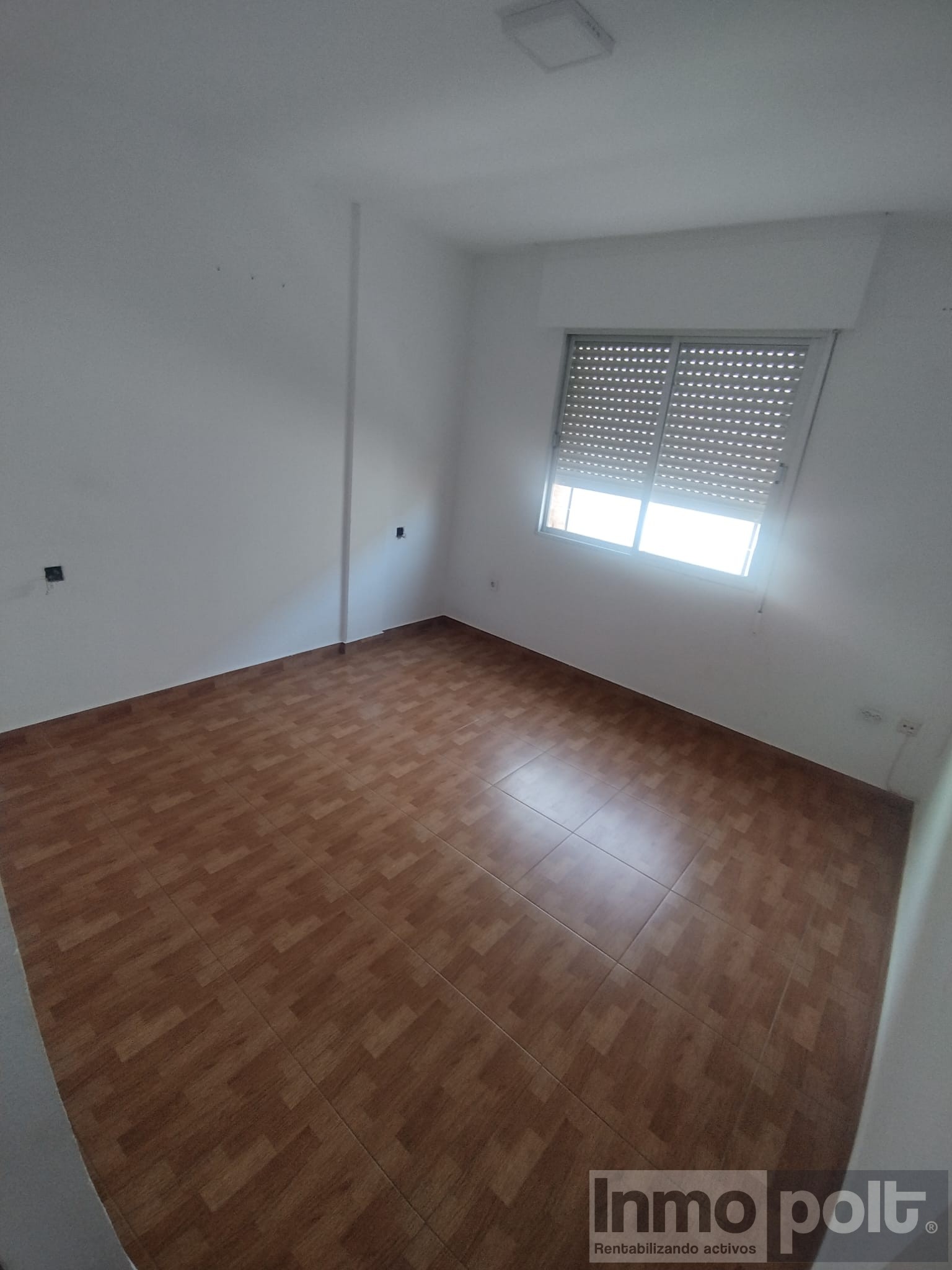 50067_cll amparo san anton (1).jpg